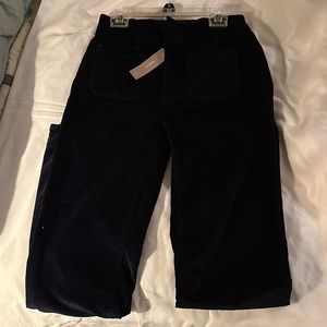 J Crew navy pants